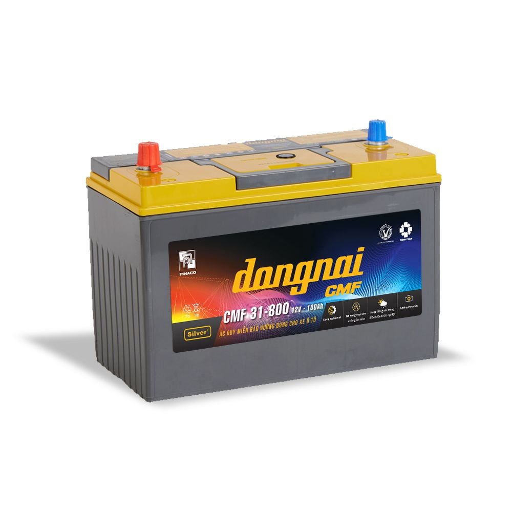 ac-quy-dong-nai-kho-12v-100ah